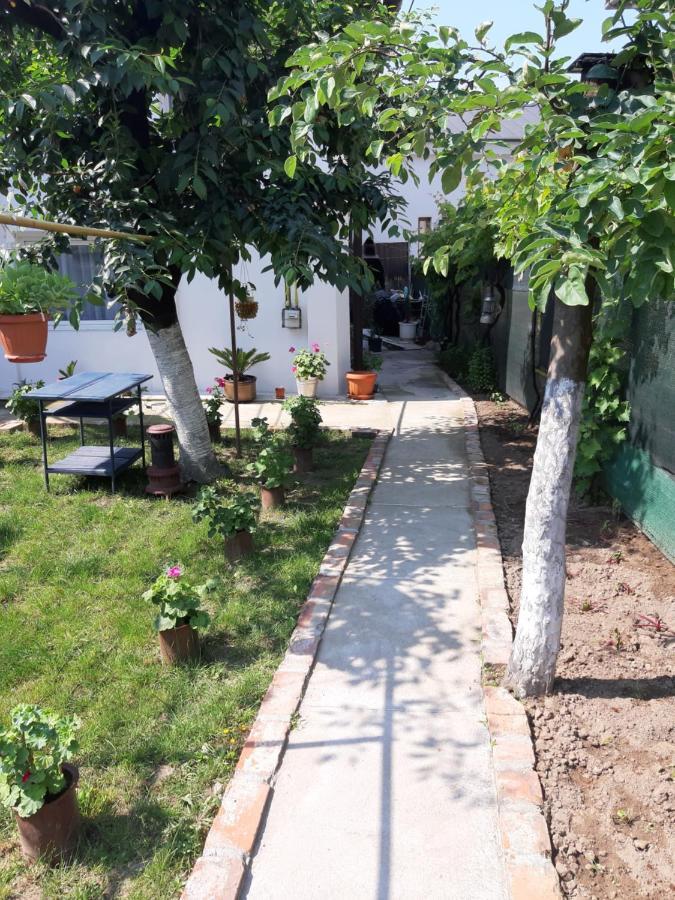 House Hotel Craiova Exterior photo