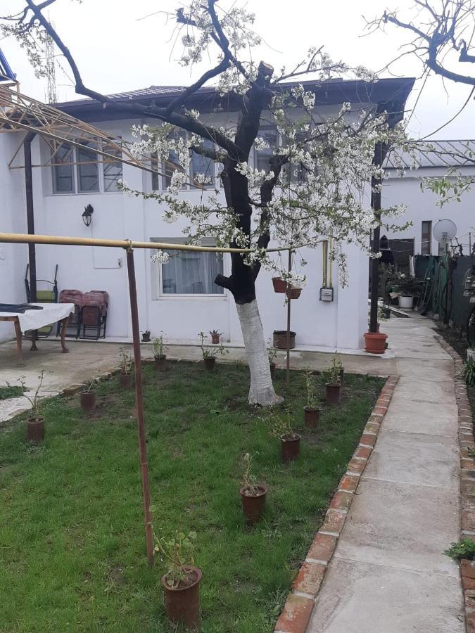 House Hotel Craiova Exterior photo